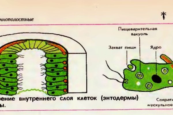 Сайт кракен закрыли