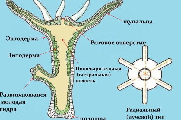 Кракен сайт в тор браузере