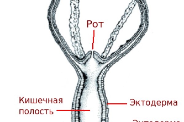 Кракен макет плейс