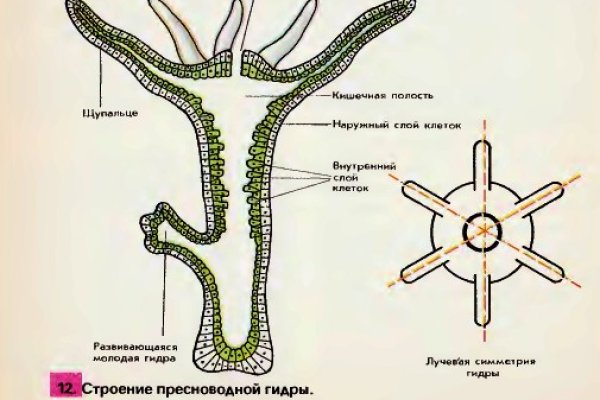 Магазин веществ кракен